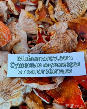 Сушеные мухоморы купить по низкой цене