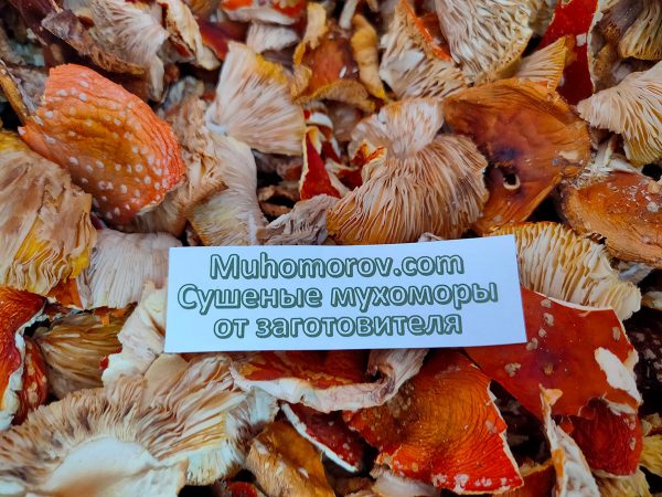 Сушеные мухоморы купить по низкой цене