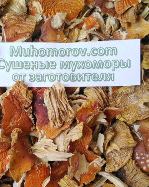 Ломаные шляпки мухомора купить
