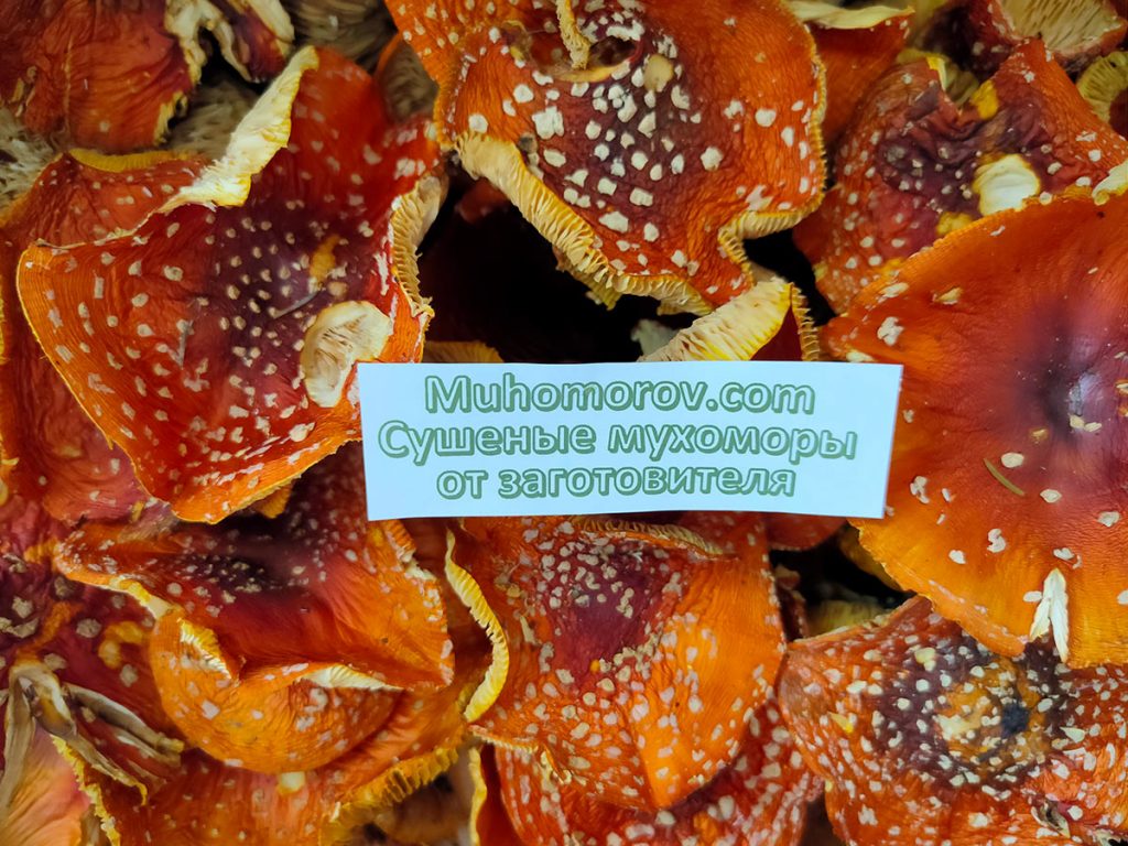 Сушеные мухоморы по низкой цене, купить, распродажа