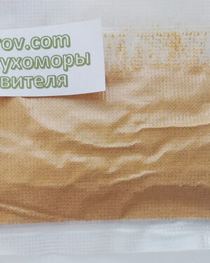 Порошок из мухоморов в наличии, купить по низкой цене