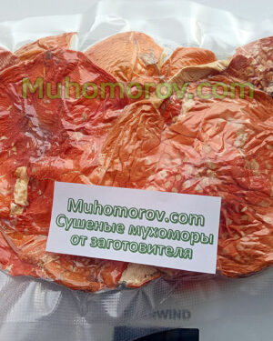 Мухоморы для микродозинга