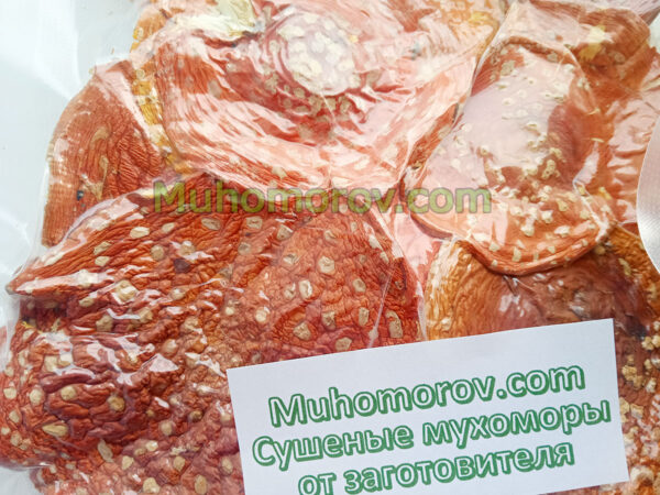 Купить гриб мухомор сушеный для микродозинга