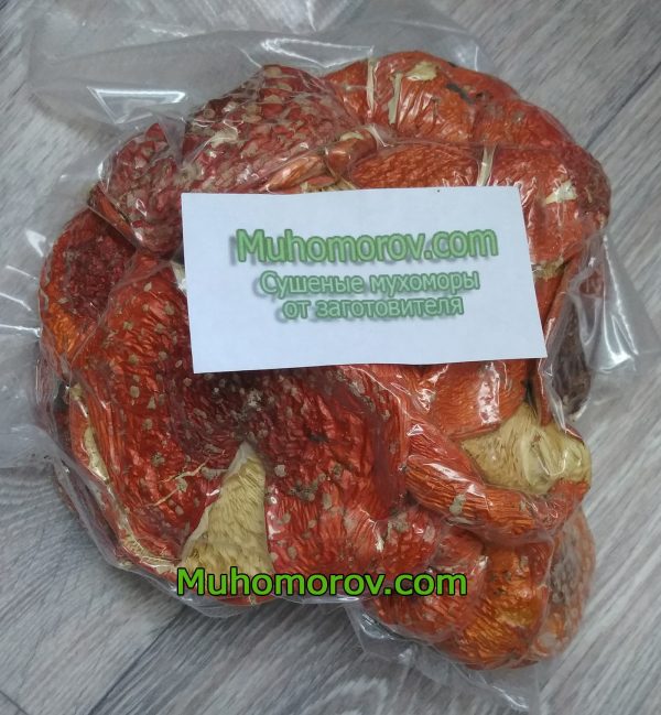 Купить мухоморы в вакуумном пакете