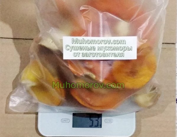 Мухомор сушеный 50 грамм, купить по низкой цене