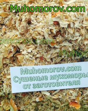 Продажа крошки шляпок мухомора