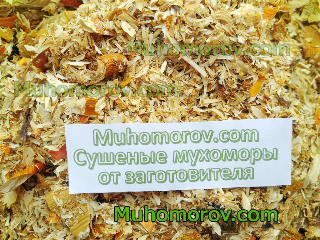 Мухомор крошеный, сушеный