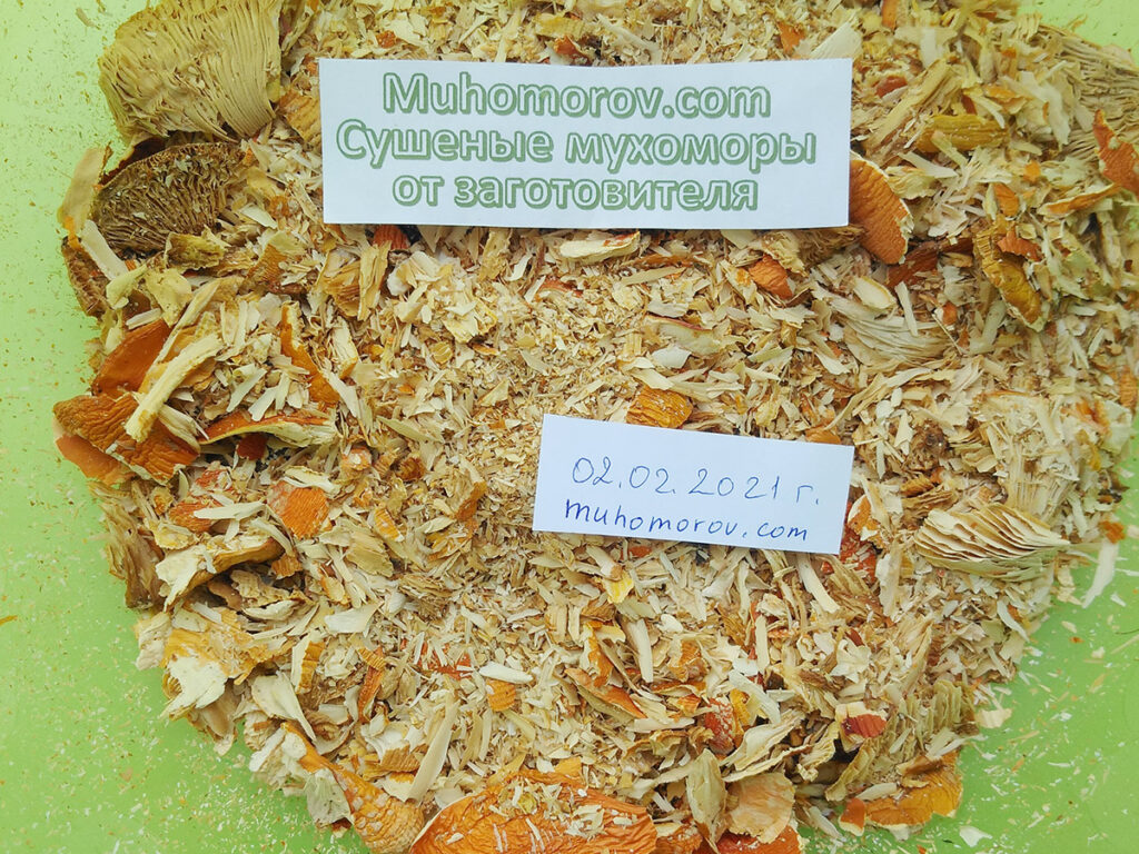 Мухоморы крошеные по низкой цене, с доставкой 