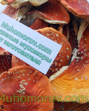 Купить мухоморы сушеные  50 грамм