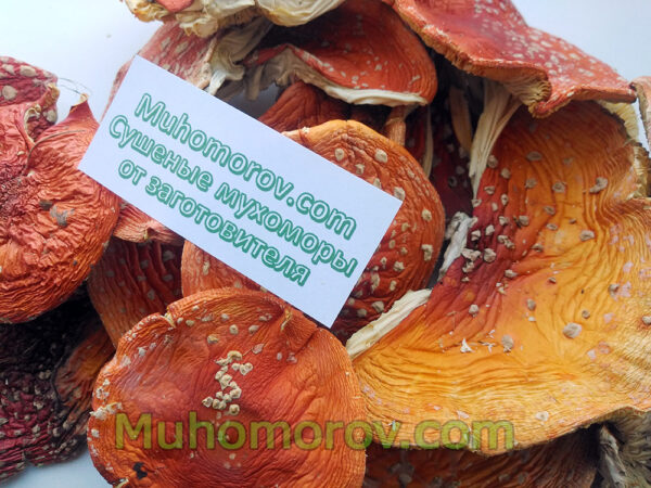 Купить мухоморы сушеные  50 грамм