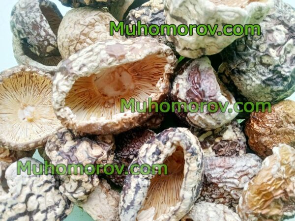 Сушеный мухомор Amanita Regalis